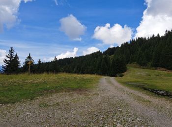 Trail Walking Theys - Col du Merdaret, Roche Noire au départ de Pipay  - Photo