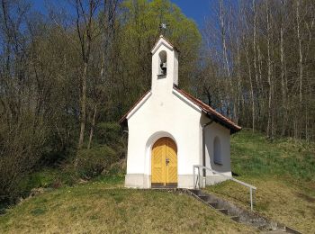 Percorso A piedi Deining - Jurasteig Mariahilfschlaufe - Photo