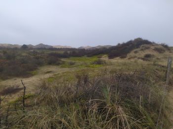 Randonnée Marche Wimereux - Wimereux dunes de la sclak - Photo