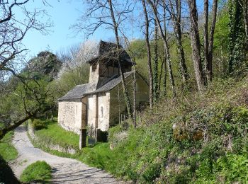 Randonnée A pied Mouret - La Chapelle de Servières - Photo