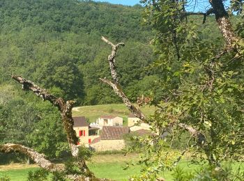 Tour Wandern Sauveterre-la-Lémance - Autour de Sauveterre la lemance  - Photo