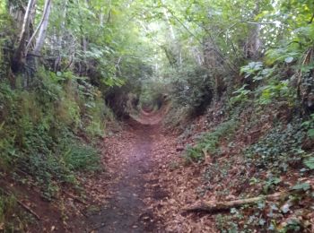 Trail Walking Fougères - GR_37_AF_20_Fougeres_Chapelle-Janson_20210619 - Photo