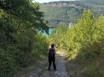 Trail Walking Mayres-Savel - Château version aventure - Photo