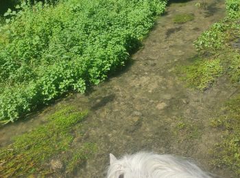 Trail Horseback riding Orthoux-Sérignac-Quilhan - mas bas - clairan  - Photo