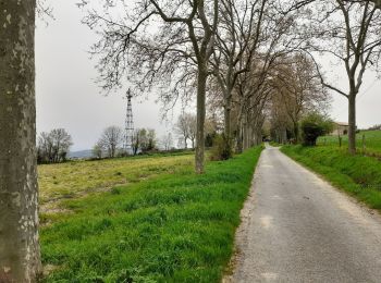 Trail Walking Étables - Étables- St Jeure d Ay - Photo