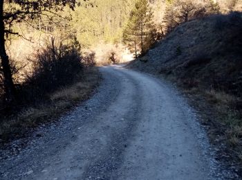 Randonnée Marche Saillans - Le Serre des 3 Bornes - Photo