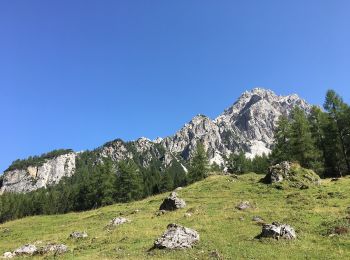 Percorso A piedi Val di Zoldo - IT-523 - Photo