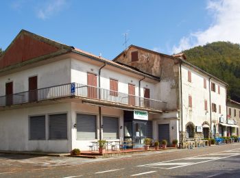 Tour Zu Fuß Santa Sofia - (SI L06) Passo della Calla - Passo del Muraglione - Photo