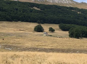 Tour Wandern Bouvante - Tour du Plateau d’Ambel - Photo