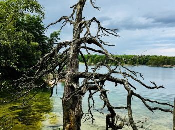 Tour Zu Fuß Unbekannt - Utnäset-Uvviken - Photo