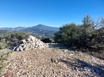 Trail Walking La Roque-Alric - Les 4 sommets de la Roque Alric - Photo