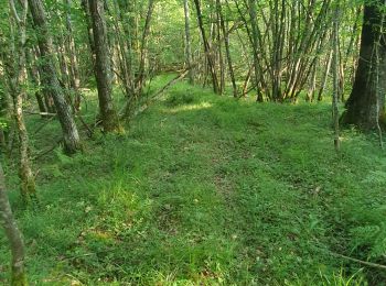 Tocht Stappen Les Eyzies - parcelles carmensac - Photo