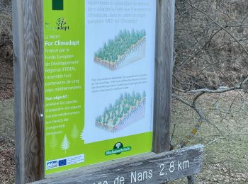 Trail Walking Saint-Vallier-de-Thiey - Pont de Nans : la montagne de Thiey - Photo