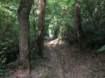 Trail Walking Calmont - Calmont  - Photo