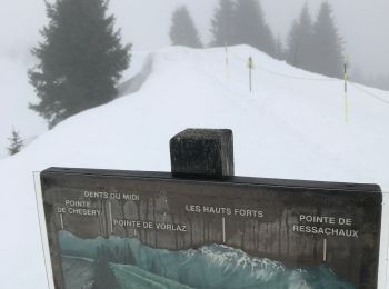Randonnée Raquettes à neige Morzine - Avoriaz-Zorre-Avoriaz-10km-2h30 - Photo
