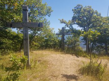 Trail Walking Bonneville - Chemin de Croix d'Orgevat par Le Reyret - Photo