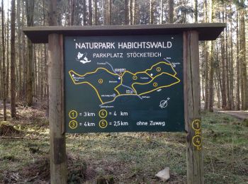 Randonnée A pied Wolfhagen - Habichtswaldsteig - Extratour Wolfhagen - Photo