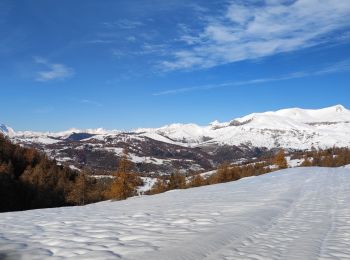 Randonnée Raquettes à neige Roubion - Raquettes-Pommier-Giarons ( Couillole)  - Photo