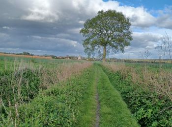 Tour Wandern Zutkerque - Zutkerque 16 Avril 2024 - Photo