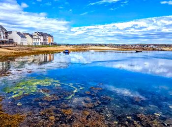 Tocht Stappen Camaret-sur-Mer - Boucle découverte Camaret village 6km - Photo