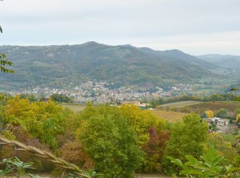 Randonnée A pied Godiasco Salice Terme - Anello della Collina - Photo