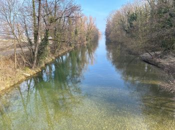 Excursión sport Le Bourget-du-Lac - Bourget thomas 2 Abaye - Photo