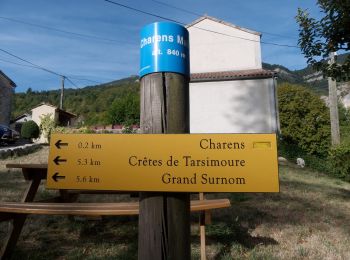 Percorso Marcia Charens - Montagne de Tarsimoure - Charens  - Photo