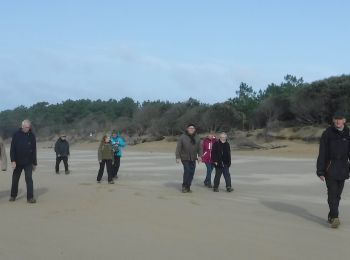 Percorso Marcia Saint-Palais-sur-Mer - 17  Le Flandre  7 km - Photo