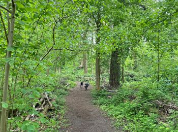 Trail Walking Étaples - Étaples - La forestière  - Photo