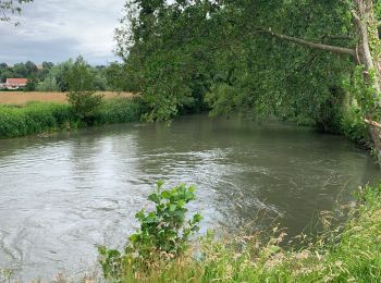 Randonnée V.T.T. Maresquel-Ecquemicourt - Balade marais de Beaurainchâteau - Photo