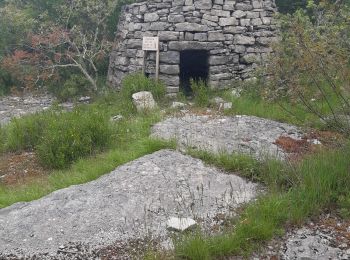Randonnée Marche Saint-Paul-le-Jeune - dolmens et borilles - Photo