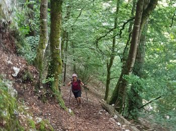 Tocht Stappen Apremont - Couloir Basset - Photo