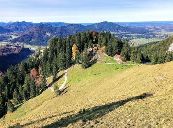Trail On foot Fischbachau - Wanderweg 665 - Fischbachau - Photo