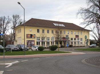 Percorso A piedi Bad Nenndorf - Calenberger Weg - Photo