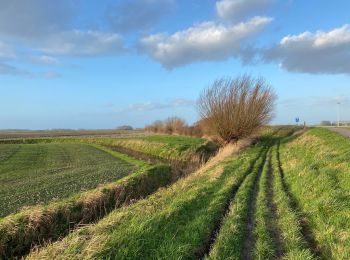 Randonnée Marche Knocke-Heist - Zwin Sluis 23 km - Photo