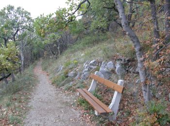 Tocht Te voet Pécs - Rotary kőrsétány - Photo