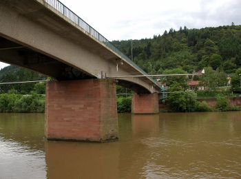 Tour Zu Fuß Unbekannt - Rundwanderweg Ziegelhausen 1: Münchel-Weg - Photo