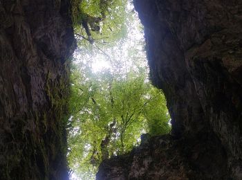 Excursión Senderismo Choranche - du tunnel d'Arbois à la Goulandiere - Photo