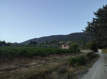 Tocht Stappen Nyons - montagne des vaux - Photo