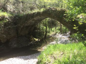 Trail Walking Saint-Privat-de-Vallongue - 30 ravin de l’enfer 7 mai 2019 - Photo