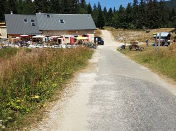 Tocht Stappen Autrans-Méaudre en Vercors - Geve, pas brochier, pas de la clé, la glacière,   - Photo