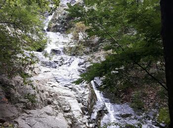 Randonnée A pied Casteil - Gorges du Cady et cascade Dietrich  - Photo