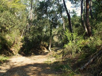 Randonnée A pied Torralba del Pinar - Trans- Espadan - Photo