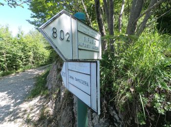 Excursión A pie Calolziocorte - Sentiero 812: Lorentino (Calolziocorte) - Passo della Pertulena - Photo