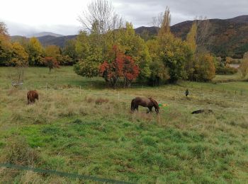 Excursión Paseo ecuestre Bourdeaux - Bourdeaux~Poêt Laval  - Photo