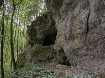 Tocht Te voet Königstein - Rundweg Königstein – Fichtenhof - Photo