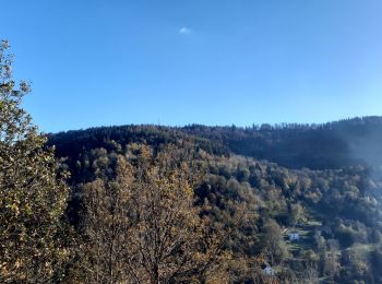 Randonnée Marche nordique Basse-sur-le-Rupt - col de Menufosse - Photo