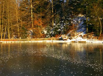 Randonnée A pied Seewald - Altensteig - Kälberbronn - Photo