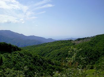 Randonnée A pied Favale di Malvaro - Acquapendente - Monte Caucaso - Barbagelata - Photo