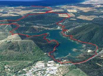 Randonnée Marche Bormes-les-Mimosas - Barrage du Trapan - Pellegrin - Photo